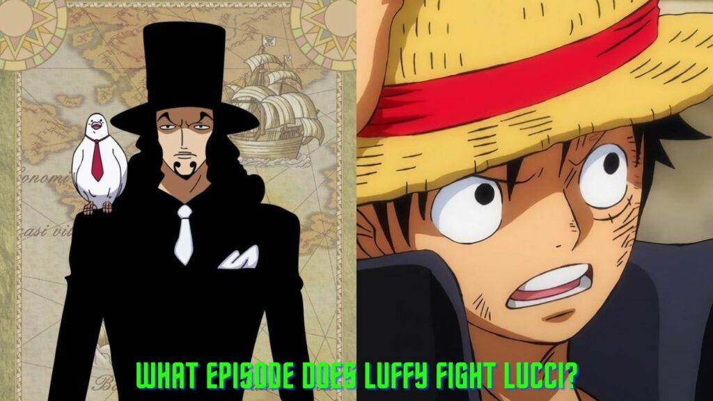 What Episode Does Luffy Defeat Rob Lucci?