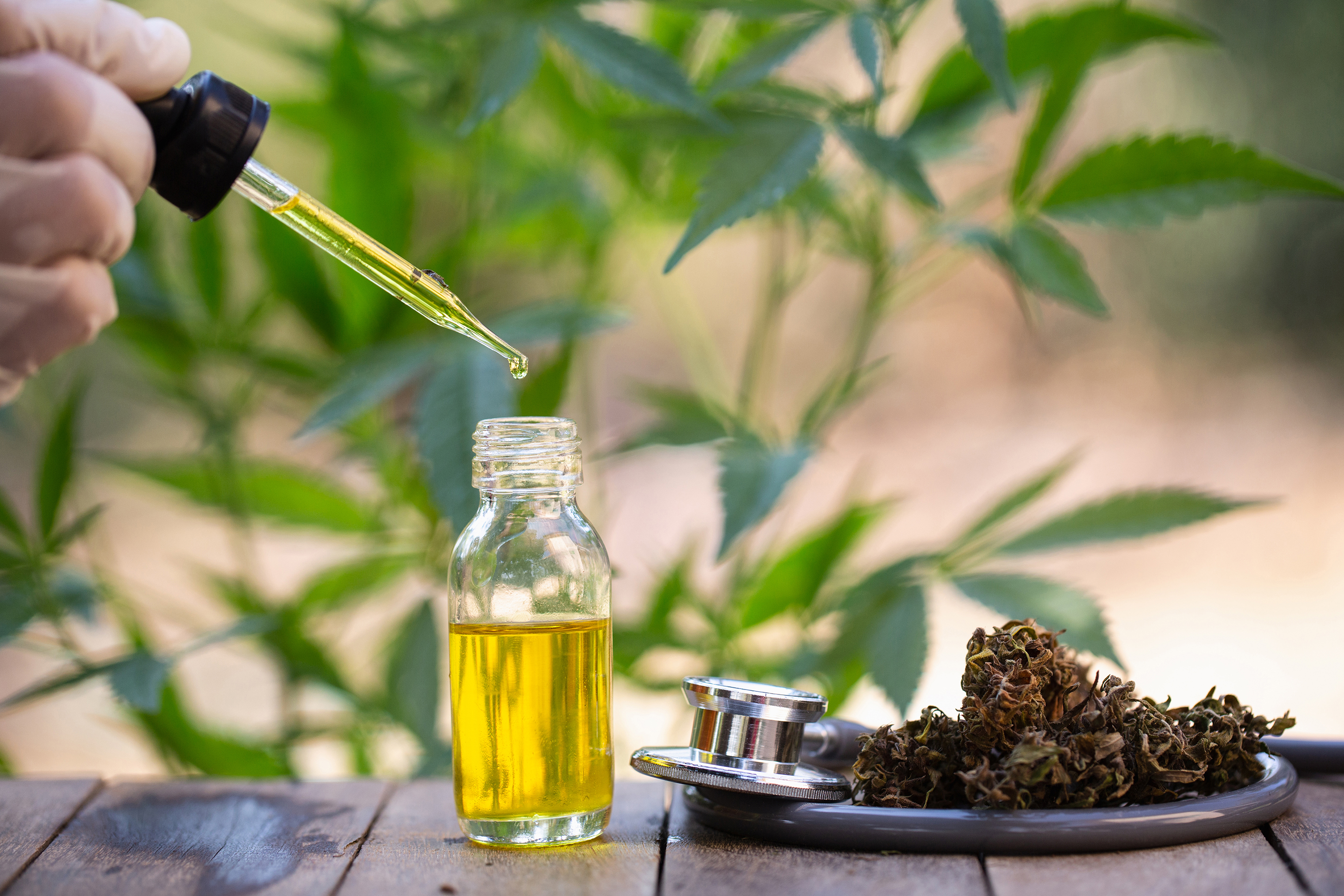 Is Cannabis Oil Actually Beneficial For Cancer Treatment?