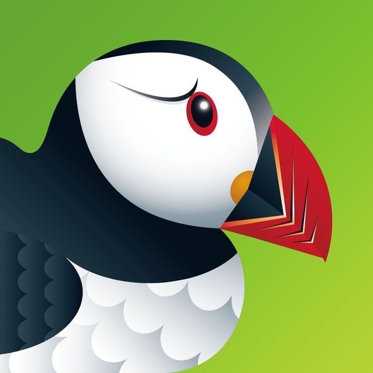 PUFFIN BROWSER