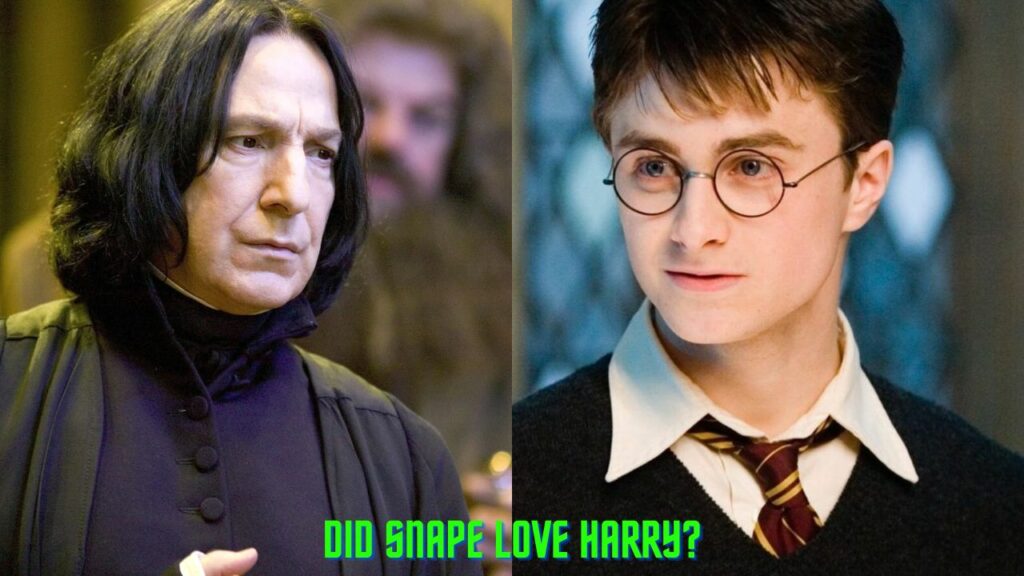 DID SNAPE LOVE HARRY?